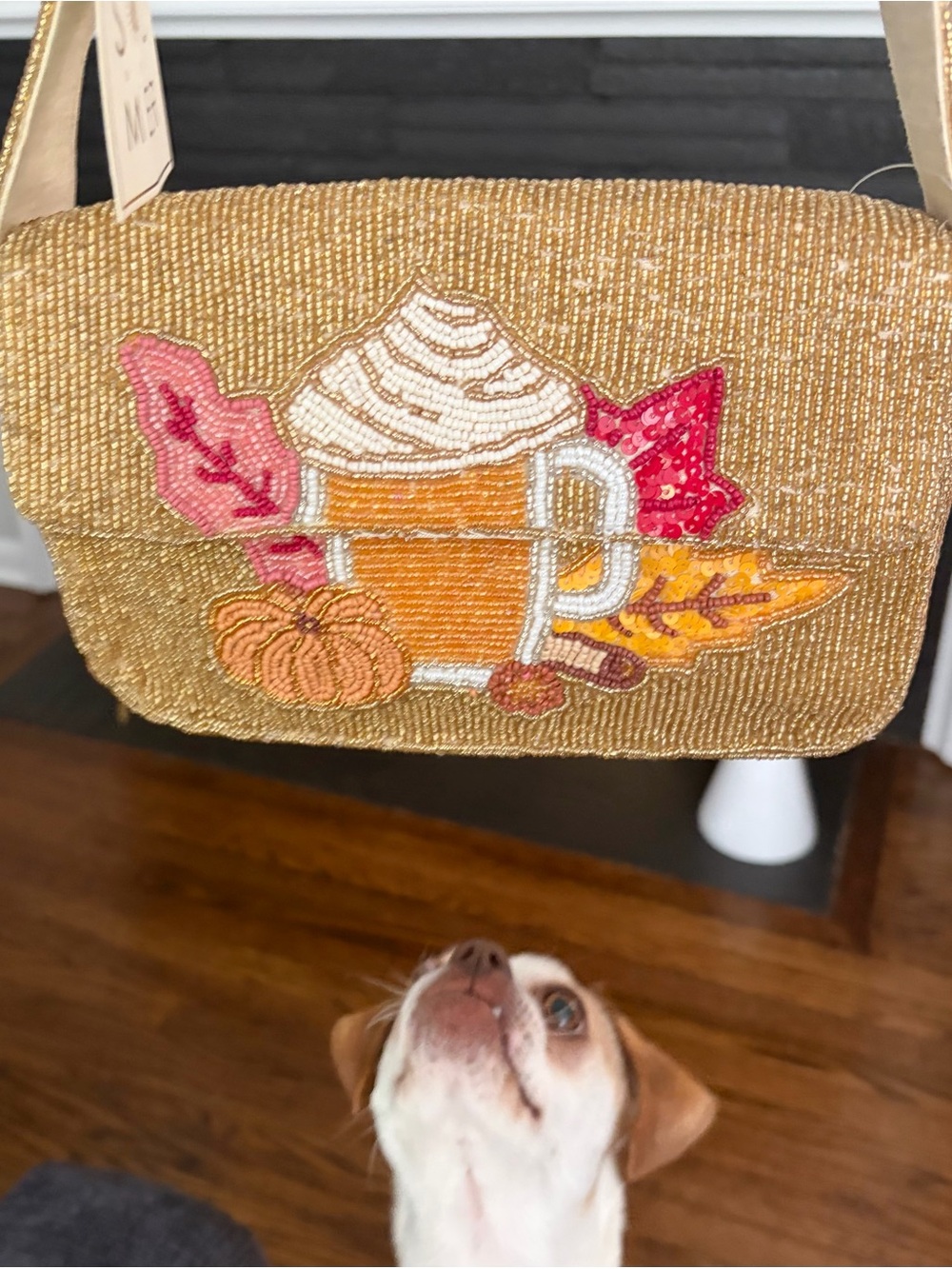 Sol and Mer Beaded Fall Pumpkin Spice Latte Purse NWT